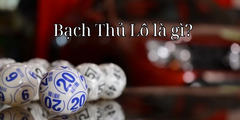 Tìm hiểu bạch thủ lô là gì?