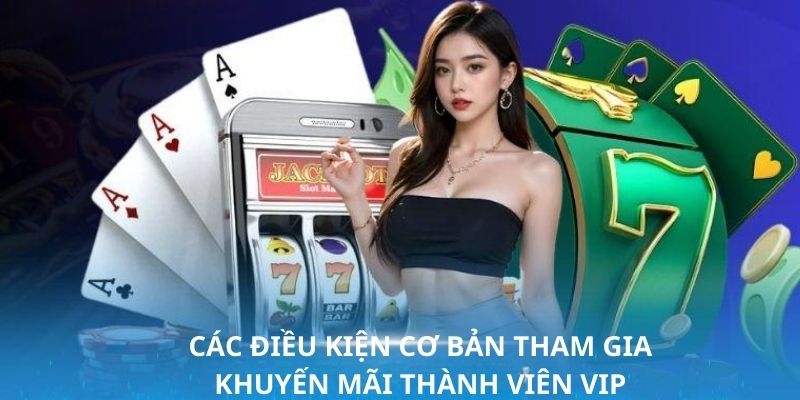 Những quy định cơ bản trong ưu đãi VIP